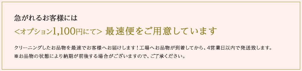 オプション1100円にて最速便をご用意しています