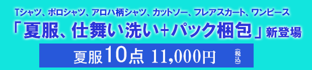 正直な夏服仕舞い洗い